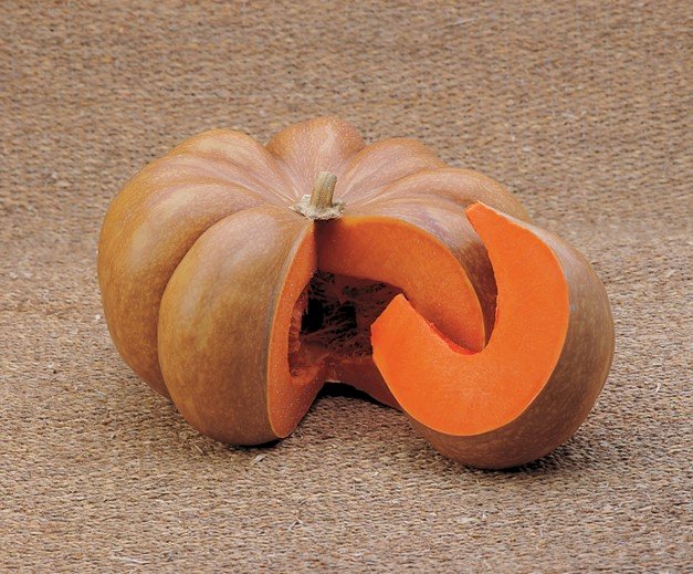 Musquée d'Hiver de Provence