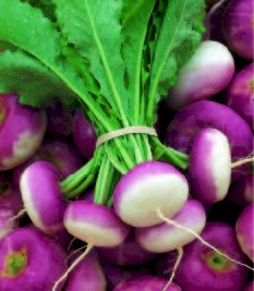 de Milan à Forcer Collet Rose ATLANTIC