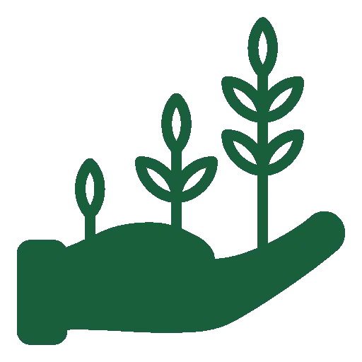 une main en vert tient trois plants 