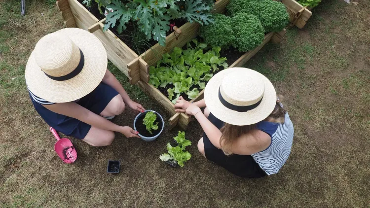 Deux personnes vues de haut jardinent avec des variétés HM.CLAUSE HOME GARDEN